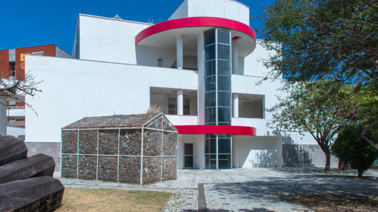 Museu de Arte Contemporânea do Ceará abre inscrições para oficina infantil gratuita sobre arte e natureza