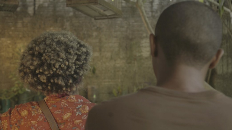 Festival NOIA realiza itinerância em Fortaleza, no interior do Ceará, na TV e na Internet exibindo filmes premiados   