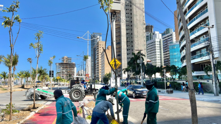 Prefeitura de Fortaleza realiza o plantio de árvores no calçadão Praia de Iracema