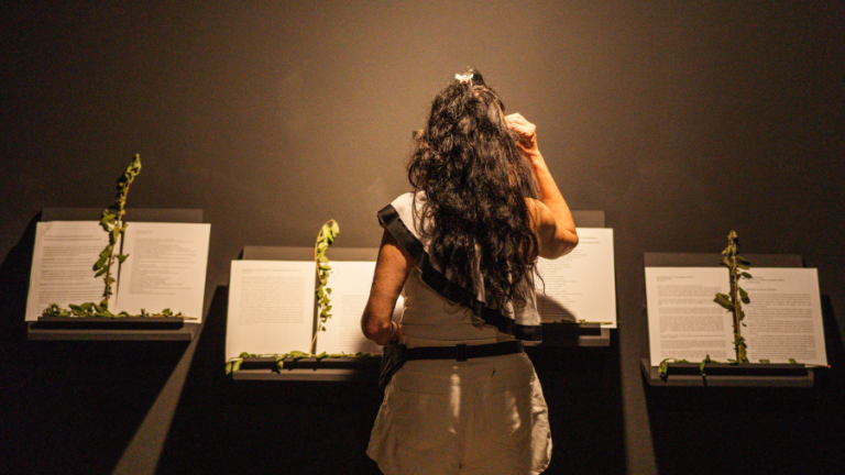 Inédito no Brasil, a sessão artística de encerramento da exposição “Terra de Gigantes” acontece no Planetário Rubens de Azevedo