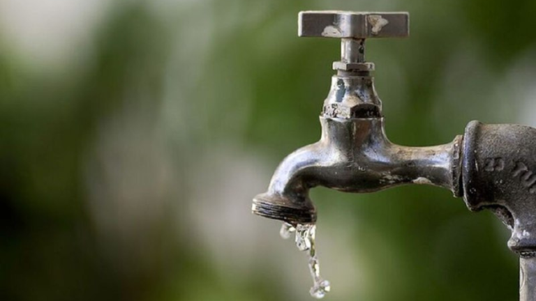 Dia mundial da água com ações sustentáveis: Empresa cearense economiza milhares de litros de água com ações sustentáveis