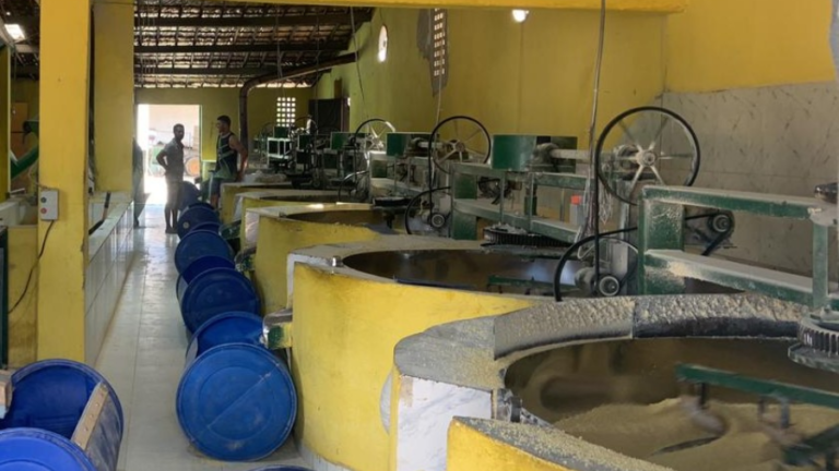 Maior produtor de mandioca do estado, arranjo produtivo de Salitre terá plano estratégico participativo pelo Impulsiona Ceará