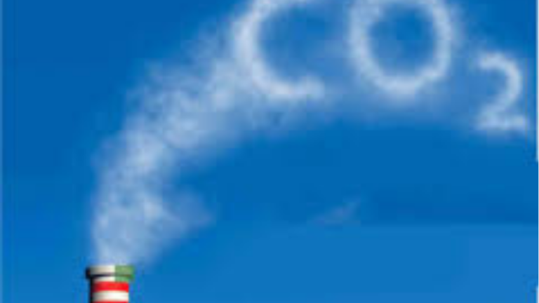 Empresas buscam ações de sustentabilidade como estratégias de redução de carbono 