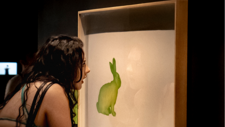 Pinacoteca do Ceará realiza aula aberta sobre obsolescências tecnológicas com Milena Szafir e Conversa de Ateliê sobre Arte e Tecnologia