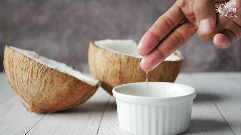 Cosméticos com ativos naturais fabricados no Ceará, como o óleo de coco, serão destaque na 32ª Feira Regional da Beleza