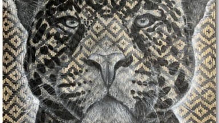 CAIXA CULTURAL FORTALEZA RECEBE EXPOSIÇÃO GRAFFITIGRAFISMO AMAZÔNICO