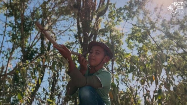 Primeiro festival de filmes de formação, mostra Vento da Tarde tem início a partir desta terça-feira (17) no Cinema do Dragão