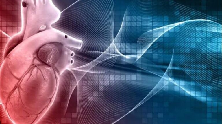 Inteligência artificial revoluciona a medicina, com foco na cardiologia