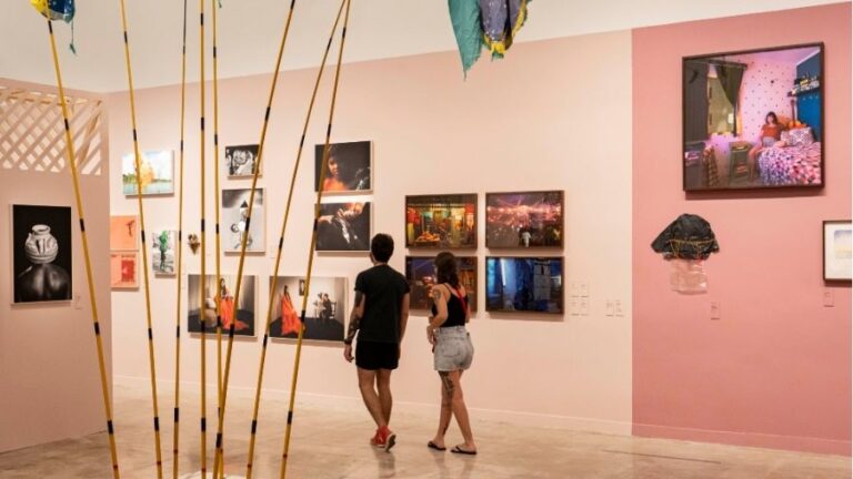 Oficina para revelação de fotos com pigmentos naturais e atividades infantis são destaques na programação da Pinacoteca do Ceará