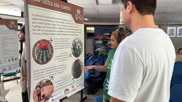 Celebração do Dia da Caatinga: Evento gratuito no Parque do Cocó destaca biodiversidade do bioma