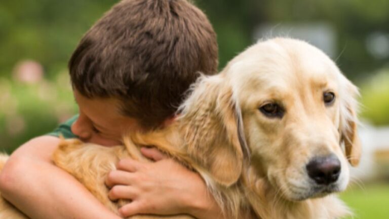Como Falar Sobre a Morte de um Pet com Crianças: Ritual de Despedida Pode Ajudar na Elaboração do Luto
