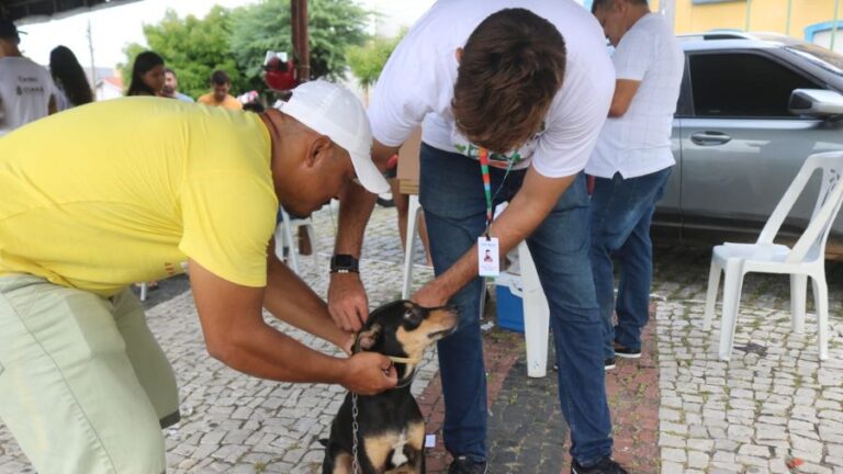 Giro Pet Ceará circula em Fortaleza e Icapuí esta semana